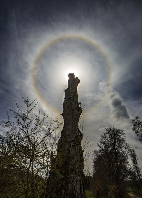 APOD: 2024 January 13 - Circling the Sun Explanation Writing, Michigan Tech, Earth's Atmosphere, Astronomy Pictures, Closer To The Sun, Earth Atmosphere, Earth Orbit, Dream Career, Earth Elements