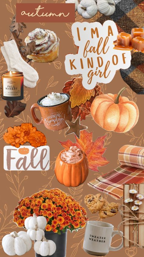 Autumn aesthetic Cute Fall Pictures, Phone Cases Aesthetic, Autumn Phone Wallpaper, Cases Aesthetic, Aesthetic Shuffles, Cute Backgrounds For Iphone, Cute Fall Wallpaper, Disney Phone Wallpaper, Fall Thanksgiving Decor