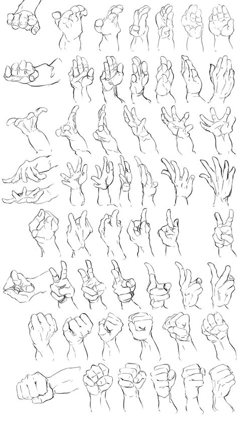 Hand 360 Reference, Hand Gripping Reference, Hand Gestures, Hand Drawing Reference, Human Anatomy Art, Body Reference Drawing, Figure Drawing Reference, Anime Drawings Tutorials, Drawing Skills