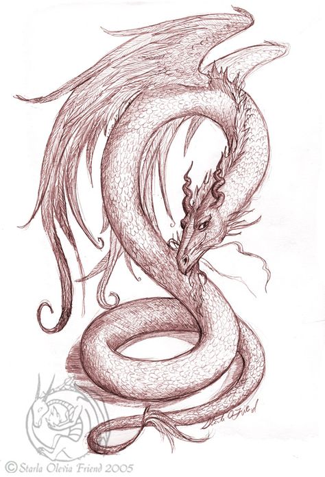 Amphithere Dragon, Winged Serpent, Dragon Tattoo For Women, Mythical Dragons, Leg Tattoos Women, Creature Artwork, Dragon Tattoo Designs, Dragon Pictures, Found Art