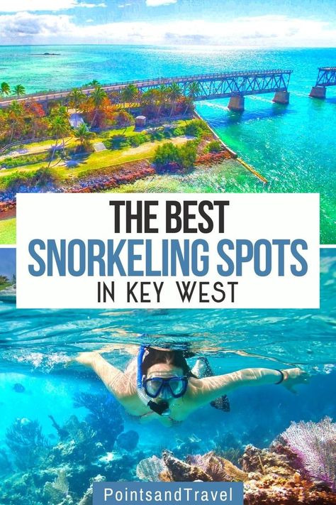 The Best Snorkeling Spots in Key West Florida Snorkeling, Key West Snorkeling, Snorkeling Pictures, Best Places In Florida, Florida Vacation Spots, Fl Keys, North America Travel Destinations, Places In Florida, Best Snorkeling