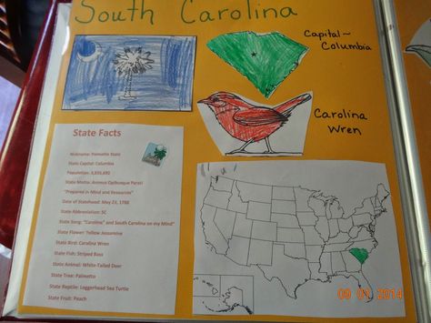 Mountain of Grace Homeschooling: Our State Study Scrapbook~ South Carolina State Abbreviations, Cactus Wren, Striped Bass, Bird Coloring Pages, State Birds, Free Printable Coloring, Crafty Craft, Mailing List, Free Printable Coloring Pages