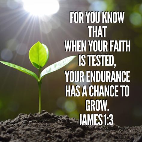 Endurance Quotes, Enduring Faith, Floral Bible Verse, Favorite Scriptures, James 1, Song Of Solomon, New Roots, Inspirational Quotes God, Verses Quotes