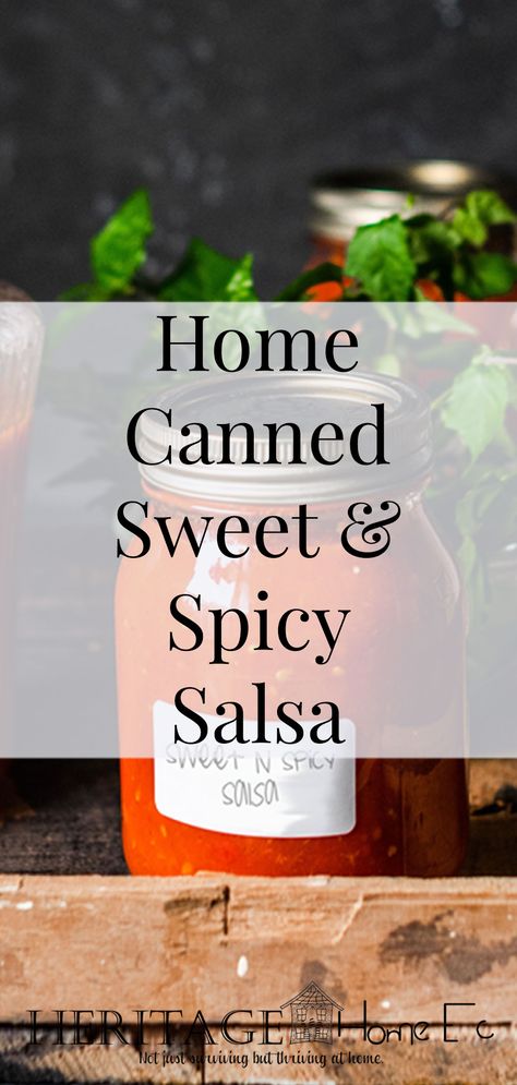 Sweet And Spicy Salsa Recipe, School Cafeteria Peanut Butter Bars, Cafeteria Peanut Butter Bars, Sweet And Spicy Salsa, Hot Salsa Recipes, Garden Salsa Recipe, Spicy Salsa Recipe, Canned Salsa Recipes, Salsa Canning Recipes