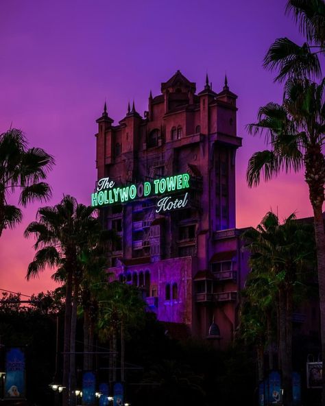 Walt Disney World on Instagram: “Where is your favorite spot to watch a #WaltDisneyWorld sunset?✨#TowerofTerror #SunsetSunday (📷: @orlandobrothas)” Hollywood Tower Of Terror, Hollywood Tower Hotel, Disneyland Attractions, Hollywood Tower, Disney World Pictures, Hollywood Hotel, Disneyland Pictures, Disney World Magic Kingdom, Disney Rides