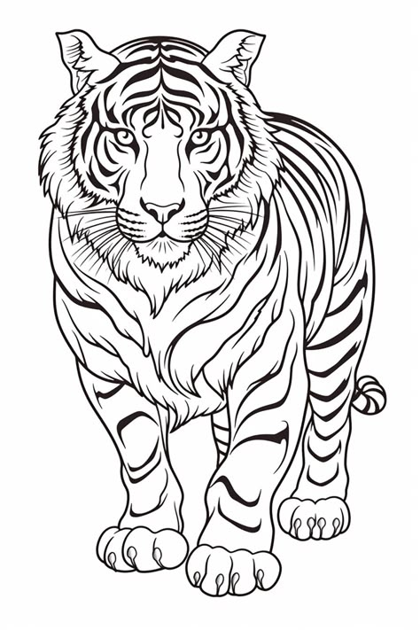 Easy Tiger Drawing, Tiger Outline, Tiger Coloring, Animal Outline, Tiger Drawing, Tik Tak, Outline Drawings, Art Drawings For Kids, Cute Coloring Pages