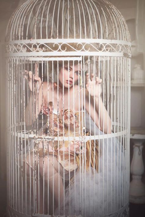 Caged Emily Soto, Whimsical Fashion, Bird Cages, Marie Antoinette, Bird Cage, Girl Drawing, Rococo, Aesthetic Girl, Fashion Photographer