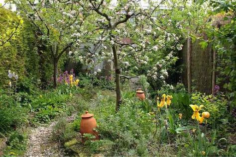 Small Cottage Garden Ideas, Food Forest Garden, Orchard Garden, Permaculture Gardening, Permaculture Design, Edible Landscaping, Food Forest, Forest Garden, Backyard Inspiration