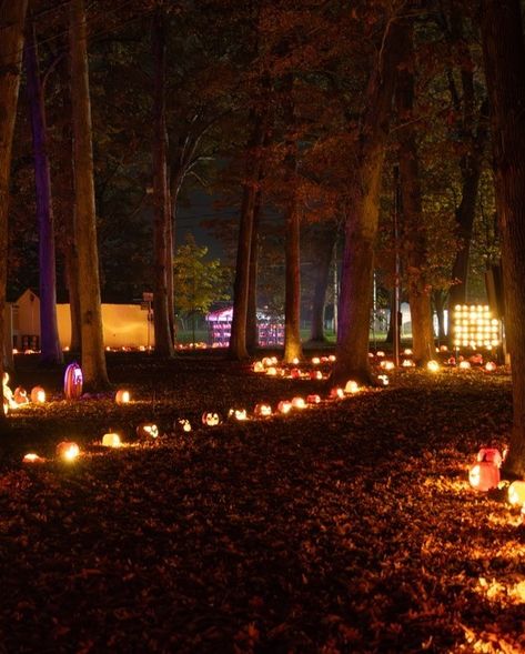 This spooky season come out and experience the area’s coolest, most unique Halloween event in the region. 🎃 Created for kids of all ages, this walk-through Jack O’ Lantern experience is sure to become a family tradition. See thousands of hand-carved pumpkins as they light up the night. 👉 @electricjacks 📍 Gilbert, PA #PoconoMtns #PoconoMountains #JackOLantern #FallVibes Haunted Forest Halloween Party, Spooky Forest Halloween Decor, A Night To Dismember Halloween Party, Haunted House Date, Summerween Outdoor Movie, Pocono Mountains, Halloween Event, Unique Halloween, Backyard Party