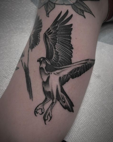 Osprey Tattoo Ideas, Osprey Illustration, Osprey Tattoo, Nick Tattoos, Falcon Tattoo, Lake Tattoo, Hawk Tattoo, Funky Tattoos, Awesome Tattoo