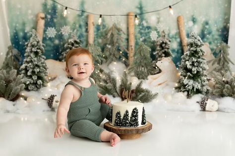 Wild One Winter Birthday, First Birthday Winter Photoshoot, December First Birthday Photoshoot, First Birthday Boy Winter Themes, First Birthday Boy December, Winter First Birthday Themes Boy, Winter Smash Cake Boy, Winter Wonderland First Birthday Boy, December 1st Birthday Party Boy