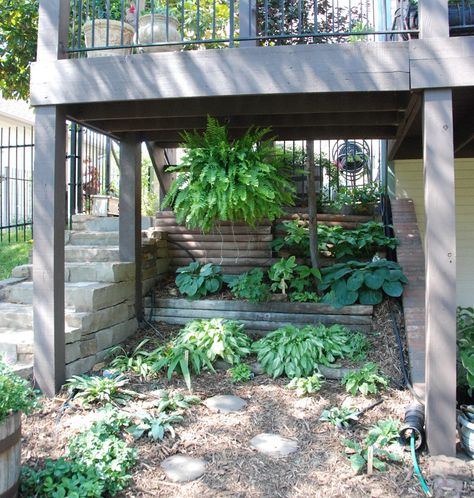 Thinking about a shade garden under the sunroom and deck Under Deck Landscaping, Patio Under Decks, Deck Landscaping, Shade Landscaping, Under Deck, Under Decks, Backyard Pergola, Deck Plans, Deck Patio