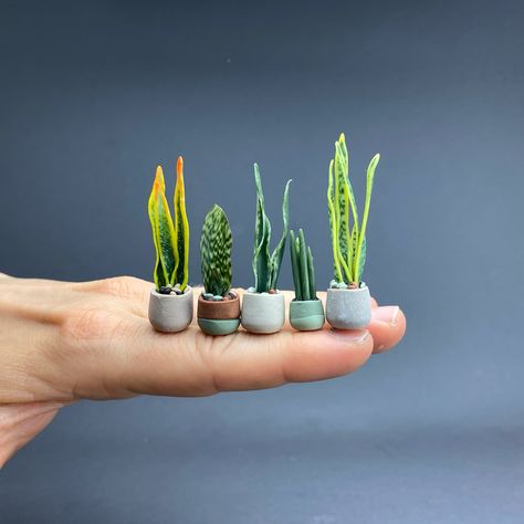 Sansevieria- the easiest way to get started with polymer clay canes for realistic plants. There are so many variations, patterns and colors. These are some of my first attempts from a few years ago. #polymerclaycreations #polymerclay #sansevieria #miniatur #miniatures #miniatureplants #dollshouseminiatures #polymerclayartist Oven Bake Polymer Clay, Bake Polymer Clay, Polymer Clay Ring, Dollhouse Tutorials, Polymer Clay Flower Jewelry, Clay Canes, Polymer Clay Cane, Garden Mini, Polymer Clay Canes