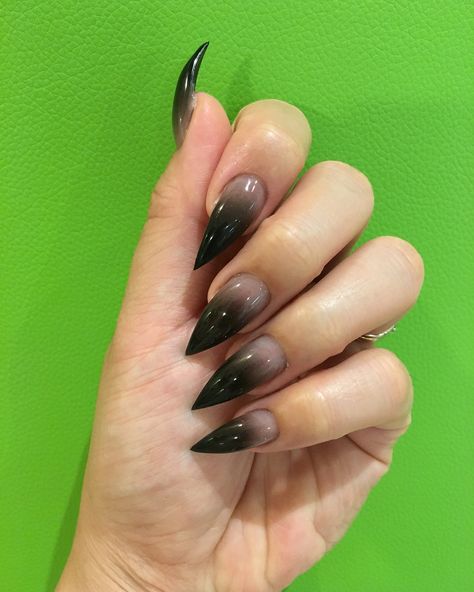 Fade To Black Nails, Ombre Black Nails, Nails Fade, Gothic Academia, Horror Nails, Nail Piercing, Claw Nails, Goth Nails, Nails Spa