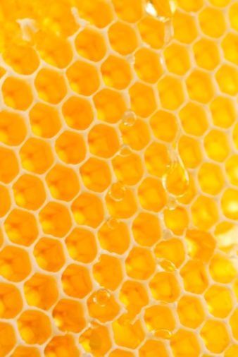 Yellow honeycomb image. - #MellowYellow #yellow #honey #bees Yellow Aesthetic Pastel, Rainbow Aesthetic, Yellow Submarine, Yellow Aesthetic, Aesthetic Colors, Colour Board, Natural Forms, Mellow Yellow, Happy Colors