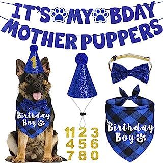 Mother Puppers, Dog Birthday Hat, My Bday, Dog Birthday Party, Boy Dog, Birthday Hat, Dog Birthday, Birthday Party Supplies, Large Dogs