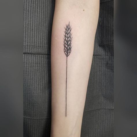 70 Likes, 2 Comments - Becky (@becky_ashcraft) on Instagram: “Stalk of wheat for Emily.” Wheat Tattoo, Places For Tattoos, Lavender Tattoo, Western Tattoos, Calligraphy Tattoo, Tasteful Tattoos, Plant Tattoo, Bad Tattoos, Tattoo Style Drawings