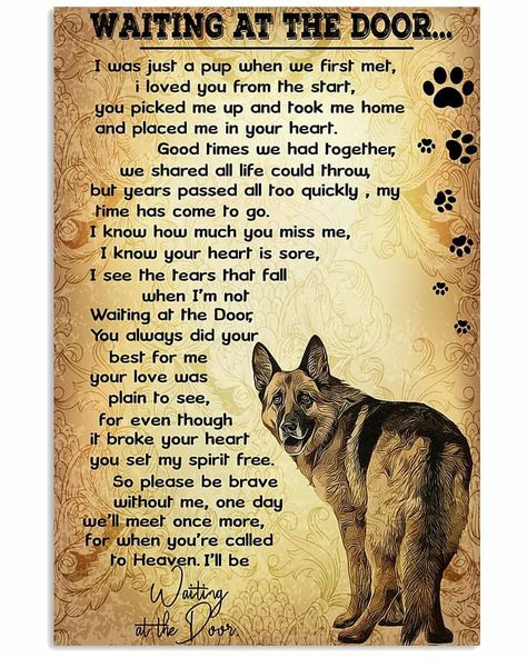 Door Canvas, Door Poster, Dog Quotes Love, Malinois Dog, Heaven Quotes, Dog Heaven, Shepherd Dogs, At The Door, Canvas Print Display