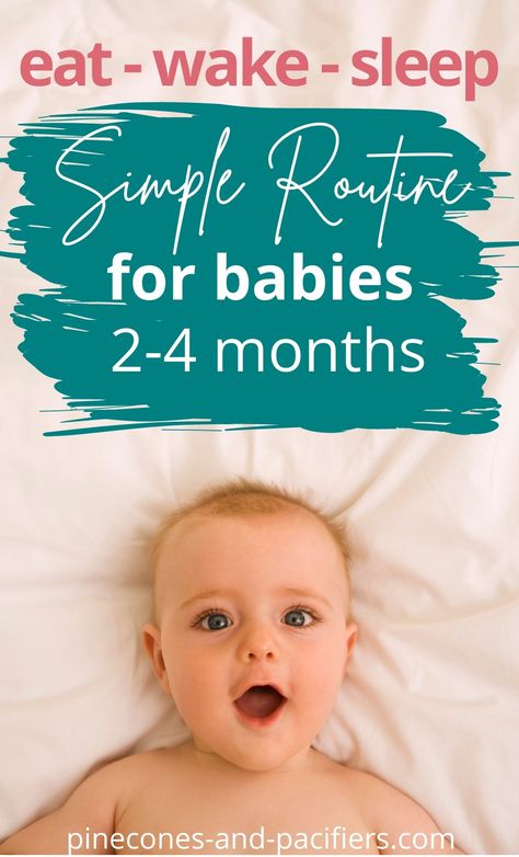 Sample Routine for babies 2-4 months old 4-5 Month Old Schedule, 2 Month Old Schedule, Nursing Schedule, Newborn Survival, Two Month Old Baby, Flexible Schedule, 2 Month Old Baby, Baby Wise, 2 Month Baby