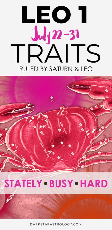 Leo Decan 1 birthday Meaning. Your indepth guide to your Leo traits and personality style. Work Ethics, Leo Sun, Leo Rising, Leo Traits, Leo Birthday, Zodiac Sign Traits, Scorpio Moon, 1 Birthday, Busy Bees