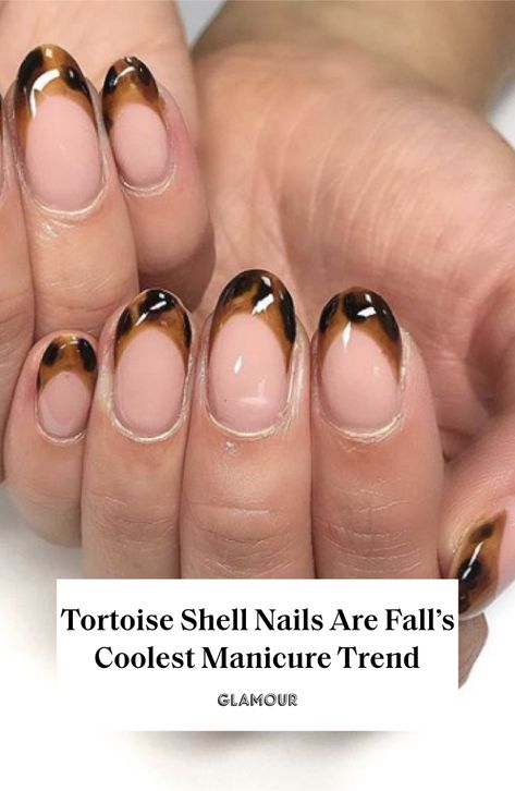 Tortoiseshell nails for every style and length #Tortoiseshell #Tortoiseshellnails Tortoiseshell Nails, Tortoise Nails, Nails For Sale, Makeup Hacks Beauty Secrets, Glittery Nails, Latest Nail Trends, Colorful Nail Art, Inspiration Photos, Nail Art Brushes