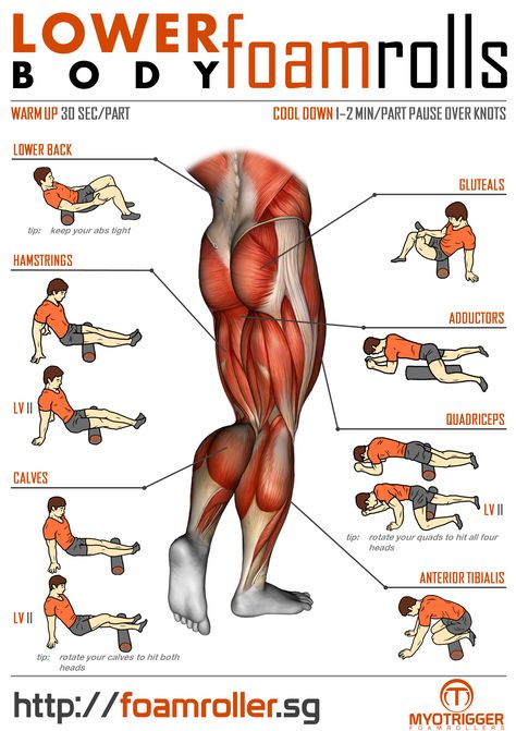 foam roller exercise | Foam Roller Exercises For Lower Body | MyoTrigger Foamrollers #glutes Foam Roller Stretches, Roller Stretches, Roller Exercises, Roller Workout, Body Foam, Foam Roller Exercises, Muscle Abdominal, Foam Rollers, Foam Rolling