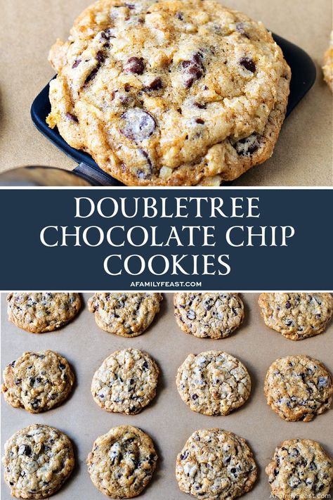 DoubleTree Chocolate Chip Cookies Doubletree Chocolate Chip Cookies, Doubletree Chocolate Chip Cookie Recipe, Secret Cookie Recipe, Doubletree Cookie Recipe, Doubletree Cookies, Gourmet Chocolate Chip Cookies, Christmas Singing, Feast Recipes, Cookies Bakery