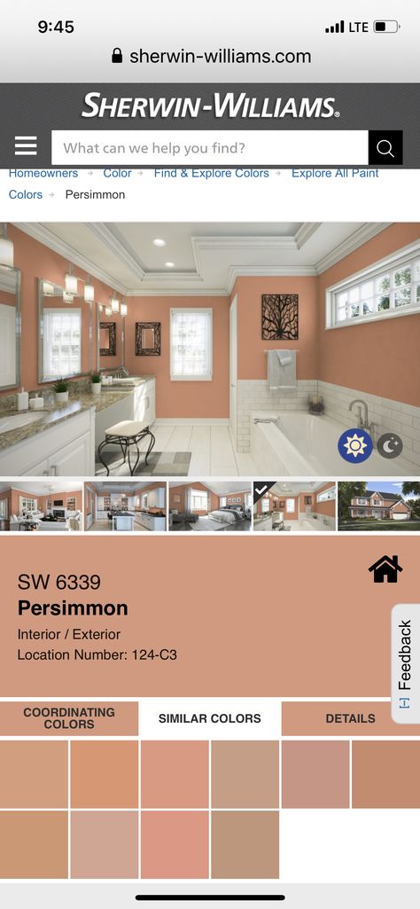 Persimmon Sherwin Williams, Persimmon Paint Color, Peach House Exterior, Painted Hallway, Bathroom 2024, Peach Bathroom, Agreeable Gray, Perfect Peach, Up House