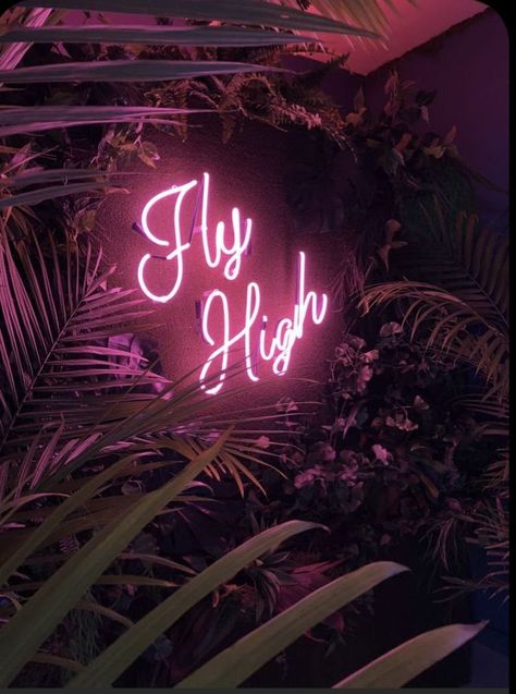 Fly High, Neon Sign, At Night, Palm Trees, Trees, Neon, Plants