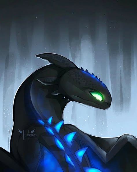 Drawing Siren, Httyd Toothless, Httyd Art, Train Dragon, Httyd Dragons, Dragon Trainer, Night Fury, Sketch Illustration, Black Dragon