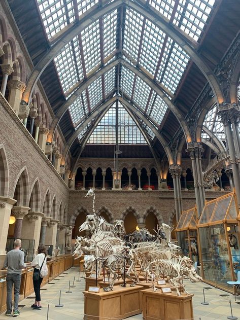 Neo Gothic Architecture, National History Museum, Night At The Museum, Gothic Architecture, History Museum, Travel Inspo, Study Abroad, Exhibition Design, Dinosaurs