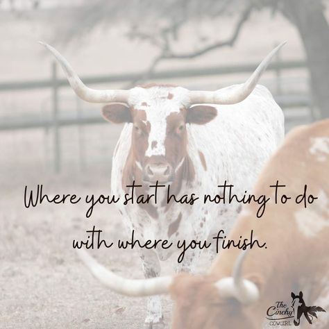 Ffa Banquet, Livestock Quotes, Race Quotes, Barrel Racing Quotes, Western Quotes, Buy A Horse, Cowboy Quotes, Racing Quotes, Easter Quotes