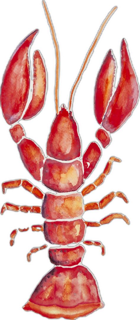 Lobster watercolor, can be put on pillows, mugs etc.....go to fineartamerica.com/ patricia piffath Lobster Watercolor, Card Inspo, Pottery Painting, Put On, Collage, Pillows, Canning, Pins, Quick Saves