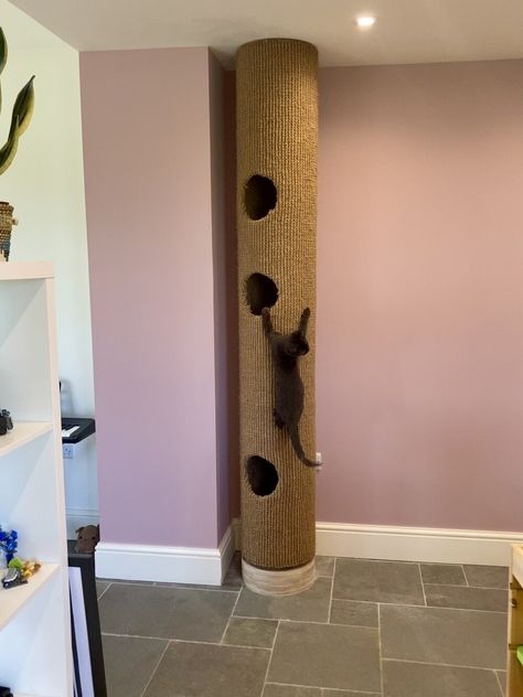 Diy Cat Wall Ideas, Diy Cat Scratching Post, Diy Cat Scratcher, Cat Scratcher Post, Cat Enrichment, Inside Cat, Chat Diy, Cat Climber, Cat Projects