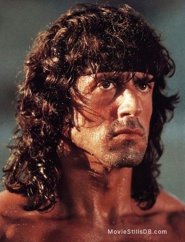 Stallone Movies, Sylvester Stallone Rambo, Rambo 3, Arnold Schwarzenegger Bodybuilding, Schwarzenegger Bodybuilding, John Rambo, The Expendables, Sylvester Stallone, Action Film