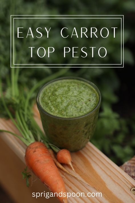 Carrot Top Pesto is a tasty, nutritious way to curb food waste in your kitchen. It comes together in minutes with just a few ingredients and tastes great in a variety of dishes! Carrot Top Pesto Recipe, Roasted Whole Carrots, Carrot Top Pesto, Pesto Recipes, Pesto Vegan, Sauce For Pasta, Seasonal Eating, Scratch Recipes, Walnut Pesto