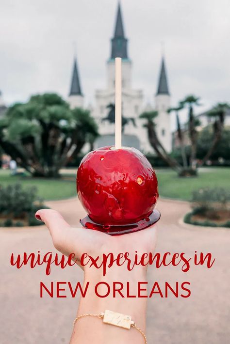 New Orleans Travel Guide, Rachel Jones, New Orleans Vacation, St Louis Cathedral, Louisiana Travel, The Fairest Of Them All, Drink Party, Visit New Orleans, Fairest Of Them All