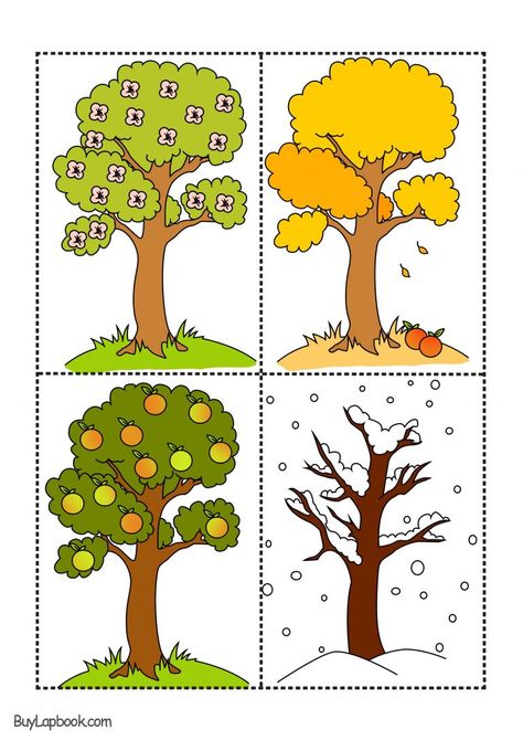 Art Project Kindergarten, Apple Tree Craft, Seasons Worksheets, Season Tree, Diy Pet Bed, Early Childhood Program, Tree Craft, Kindergarten Science, Seasons Art