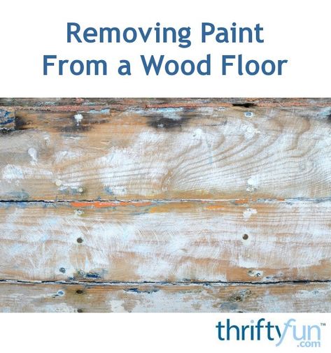 This is a guide about removing paint from a wood floor. For small amounts of paint, scraping off any excess paint, then use rubbing alcohol can be effective in removing paint from wood floors. However if there is a lot of paint, you may have to sand and refinish the flooring. Here is some additional advice about removing paint from wood floors. Wood Stain Remover, Removing Stain From Wood, Removing Paint From Wood, Paint Scraping, Removing Paint, Sand Floor, Pine Wood Flooring, Painted Wood Floors, Sanding Wood