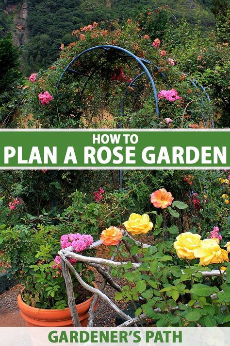 Planting A Rose Garden, Rose Garden Cottage, Small Rose Garden Design Backyard Ideas, Rose Flower Bed Landscaping Ideas, What To Plant With Roses Landscapes, How To Make A Rose Garden, How To Start A Rose Garden, Rose Garden Plans Design, Rose Garden Bed Ideas