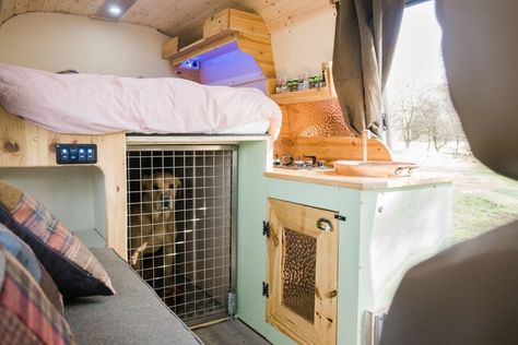 Dog Van, Camper Dog, Camping Dog, Quirky Campers, Camper Bus, Adventure Van, Campervan Hire, Trailer Living, Van Ideas