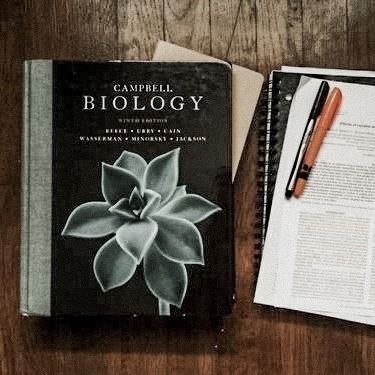 Ellie Sattler Aesthetic, Biology Student Aesthetic, Ellie Sattler, Campbell Biology, Biology Student, Biology Major, Student Aesthetic, Academia Aesthetics, Marine Biology