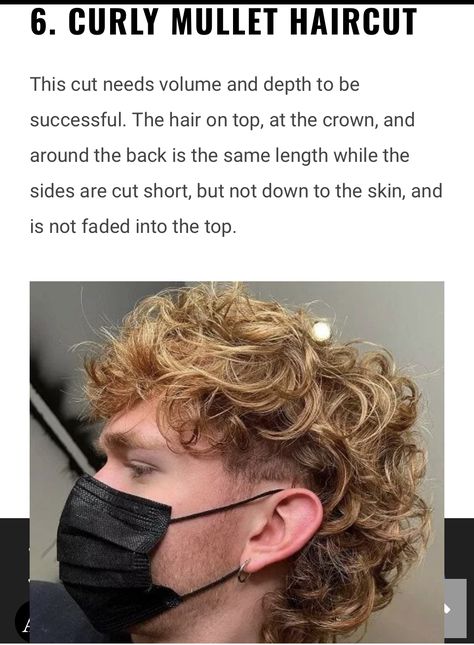 Dyed Mullet Men Curly, Mens Mullet Hairstyle Modern Curly, Blond Mullet Men, Modern Mullet Mens Curly, Curly Pixie Mullet, Tapered Mullet, Curly Modern Mullet, Gay Mullet, Modern Mullets