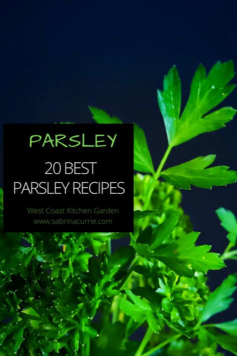 Fresh Parsley Recipes, West Coast Kitchen, Parsley Soup, Pasta Puttanesca Recipe, Vegan Carrot Soup, Coast Kitchen, Tabbouleh Recipe, Parsley Recipes, Pasta Puttanesca