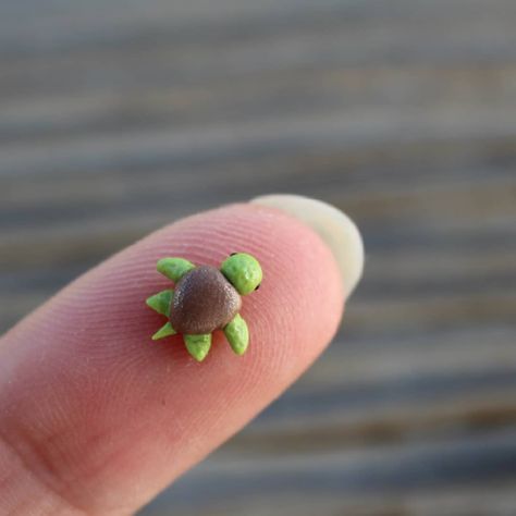 Polymer Clay Turtle, Clay Turtle, Tiny Turtle, Clay Baby, Clay Figures, Clay Charms, Polymer Clay Art, In The Beginning, Art Handmade