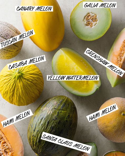 It’s everyone’s favorite time of the year – melon mania! Did you know there is a broad range of melons from all different shapes, sizes and names – A to Z? If not, that’s what this visual guide for all the different melon varieties is here for. #fruit Melon Varieties, Types Of Melons, Santa Claus Melon, Melon Benefits, Sausage Meatballs Recipes, Types Of Watermelon, Musk Melon, Watermelon Varieties, Fruits Name In English