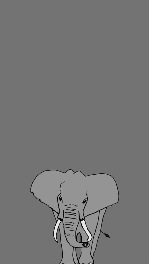 Elephant Lockscreen, Elephant Wallpaper Iphone, Swaggy Wallpapers, Elephant Phone Wallpaper, Aestethic Art, Elephant Quotes, Elephant Background, Gray Backdrop, Swan Wallpaper