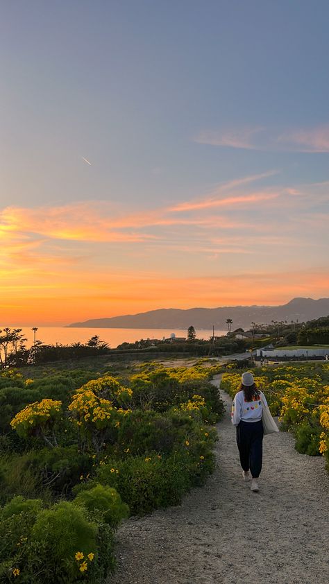 Mountains to beach Malibu California Aesthetic, Mountain View California, Hawaii Life, Inspo Board, Gap Year, Iphone Screen, Beach Vibe, Early Spring, Screen Savers