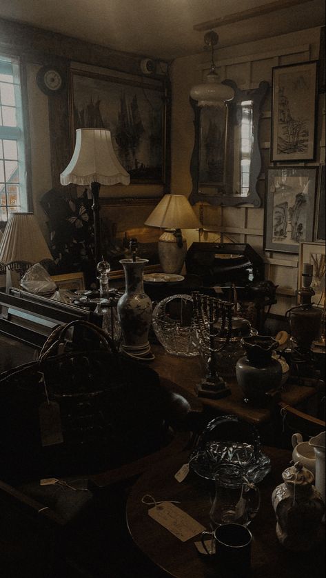 Antique Store Aesthetic Dark, Antique Shop Aesthetic Dark, Antique Stores Aesthetic, Antique Store Aesthetic, Writer's Office, Southern Gothic Aesthetic, 11 Aesthetic, Haunted Objects, Moody Decor