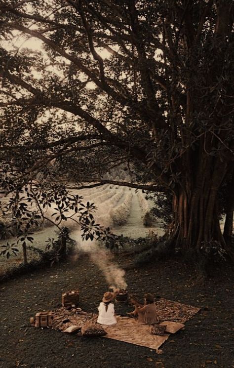 Lydia Astetic, Scarlettcore Aesthetic, Woods Astethic, Dark Academia Photo, Story Themes, Dark Academia Wall, Dark Academia Wallpaper, Victorian Aesthetic, Cottage Garden Design